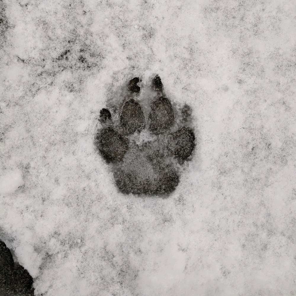 Meet your Posher, Meghan